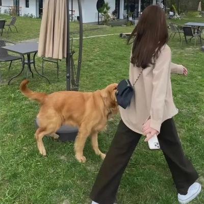 危险之爱